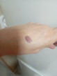 Отзыв на Тени для век жидкие «Matt tint», оттенок 106 Dusty Mauve от Наталья