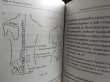 Отзыв на Шиацу и Су-джок. Целительный массаж активных точек. Подробный самоучитель от Сергей Николаевич
