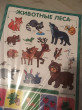 Отзыв на Обучающие плакаты. Знания для дошкольников от Эльмира