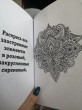 Отзыв на Раскраска для шибко умных. Отыщи предмет от Надежда