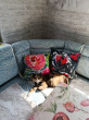 Отзыв на Чехол на подушку «Пионы» от Анна