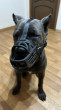 Отзыв на Намордник Muzzle Flex от Майя