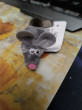 Отзыв на Игрушка-мышь с хвостом из натуральной норки «Майя» от Мария Старжинская