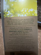 Отзыв на Чай «Camomile meadow» с ромашкой, шиповником и личи от Светлана