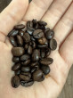 Отзыв на Кофе в зернах «Crema Prodomo» от Гульжан 