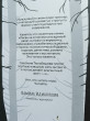 Отзыв на Лес от Ольга