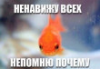 Отзыв на Жевательная резинка со вкусом «Клубника» от азузу