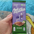 Отзыв на Шоколад молочный с фундуком и изюмом от Юлия