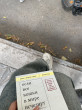 Отзыв на Если все кошки в мире исчезнут от Ted Pagac V