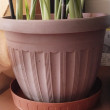 Отзыв на Подставка для горшка «Begonia» (диаметр 21 см), коричневая от 🌟Татьяна🌟