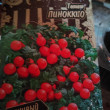 Отзыв на Семена. Томат «Пиноккио», 0,1 г от Аксана 
