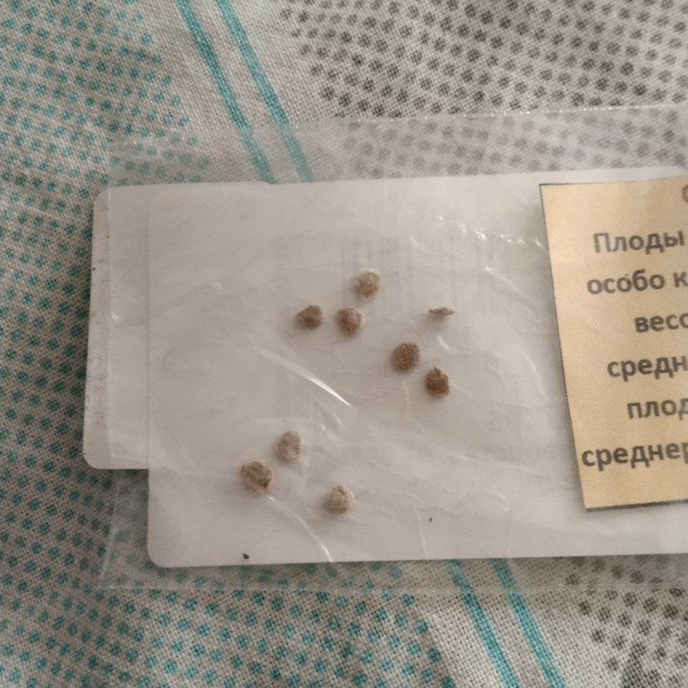 Коллекционные семена томата «Спецназ»