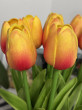 Отзыв на Комплект искусственных цветов «Тюльпан» от Гульнара