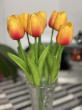 Отзыв на Комплект искусственных цветов «Тюльпан» от Гульнара