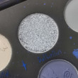 Отзыв на Палетка теней Corpse Bride Collection "Moonlight" от Ангелина Сергеевна