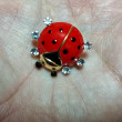 Отзыв на Брошь «Божья коровка» от Елена Владимировна