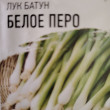 Отзыв на Семена. Лук Батун «Белое перо» от Вера Борисовна