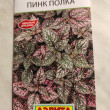 Отзыв на Гипоэстес «Пинк Полка» от Марина