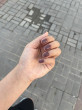 Отзыв на Лак для ногтей «Gel nail colour», оттенок 52 Coral me maybe от Инкар