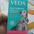 Отзыв на Пробиотик для кошек и собак «Лактоферон» от Галина Васильевна
