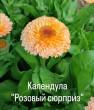 Отзыв на Семена. Календула «Солнечный закат», 0,3 г от Марина