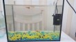 Отзыв на Внутренний фильтр Dophin, 3W, 200л/ч от Айнаш