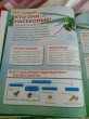 Отзыв на Насекомые. Детская энциклопедия от Вера