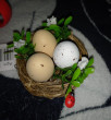 Отзыв на Изделие декоративное «Гнездо пасхальное» от Кошка Белла