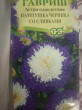 Отзыв на Семена. Астра «Пампушка черника со сливками» от Татьяна
