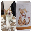 Отзыв на Кружка «Funny Friends. Cats» от Наталья