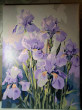 Отзыв на Набор для рисования по номерам «Ирисы в пастельных тонах» от Евгения
