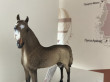 Отзыв на Фигурка животного «Лощадь Морган, жеребец» от Камилла