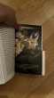 Отзыв на The Picture of Dorian Gray от Ademi
