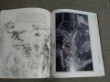 Отзыв на Lord of the Rings Sketchbook, The от Ruth Krajcik