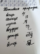 Отзыв на Ручка перьевая для каллиграфии «Pilot Parallel Pen», 2,4 мм, набор в футляре от Ильмира 