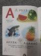 Отзыв на Алфавит с наклейками от Ольга