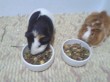 Отзыв на Корм для морских свинок «Nature Cavia» (750 г) от Людмила