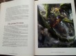 Отзыв на Warcraft. Варкрафт: Хроники. Энциклопедия. Том 2 от Олег Гурьянов