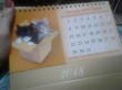 Отзыв на Календарь настольный «Котята» (2018 год, 20х14см) от Ирина
