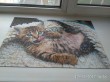 Отзыв на Пазл «Веселый котенок», 1000 элементов от Татьяна