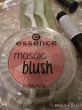 Отзыв на Румяна «Mosaic blush», оттенок 20 All you need is pink от Ирина