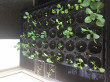 Отзыв на Поддон большой глубокий от 🍀🌱☘️🌿Гүлмира Кенжалықызы