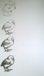 Отзыв на Sketchbook. Книга для рисования №1 от Марина