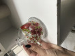 Отзыв на Лимонница от Анастасия Вячеславовна