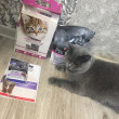 Отзыв на Корм сухой для кошек с ягненком от Dr. Elmo Krajcik IV