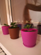Отзыв на Горшок для цветов с поддоном «Ротанг» (1,2 л), цвет сиреневый от Айгерим
