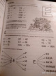 Отзыв на Пишем и читаем. Тетрадь №2. Обучение грамоте детей старшего дошкольного возраста от Галина