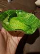 Отзыв на Салатник «Cabbage» от Наталья Тихоновна