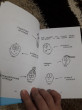 Отзыв на Fevrony. Ежедневник от Екатерина