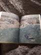 Отзыв на Три новеллы (комплект из 2 книг) от Eloisa Littel